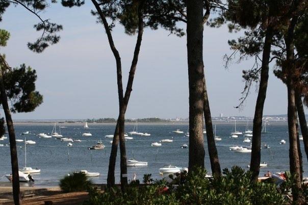 Le Sommet Des Dunes Hotel Lege-Cap-Ferret Room photo